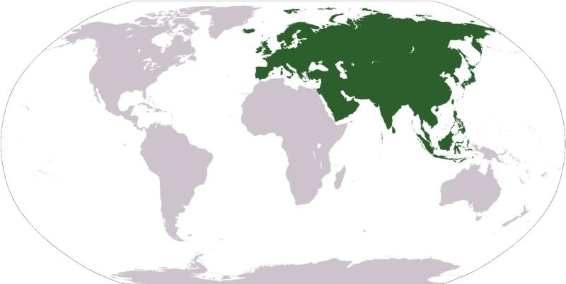 1.5 Евразия на карте мира