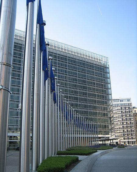 15. European Commission