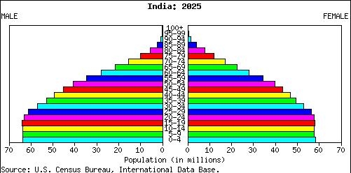 8.2 Население в Индии
