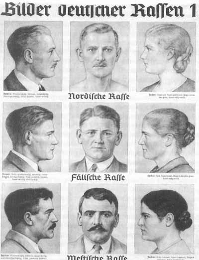 1.9 Плакат 1935 г. Таблица немецких рас