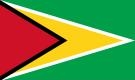 8.1 Флаг Гайаны