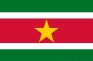 12.1 Флаг Суринама