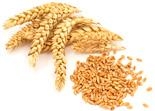 26. Пшеница Цинк 2,8 (мг)