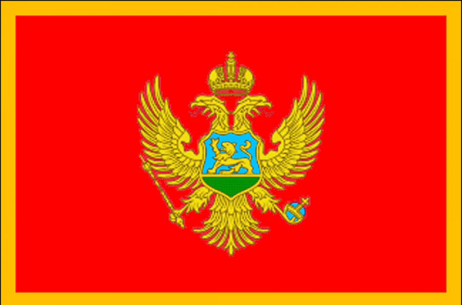 Флаг Черногории, использующей Евро без договоренности с ЕВС