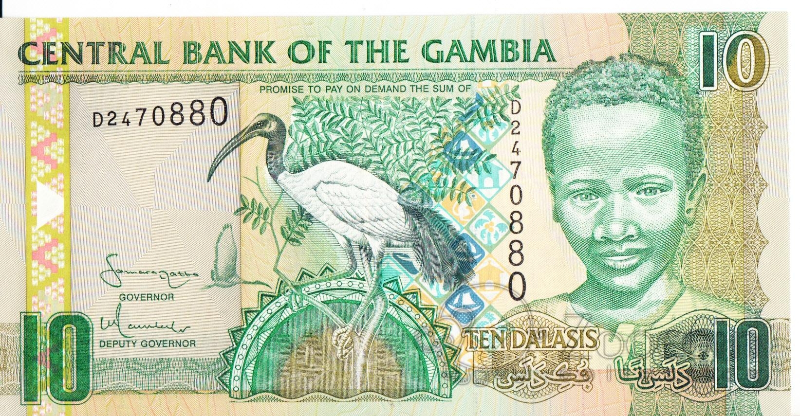 Даласи - национальная валюта Гамбии