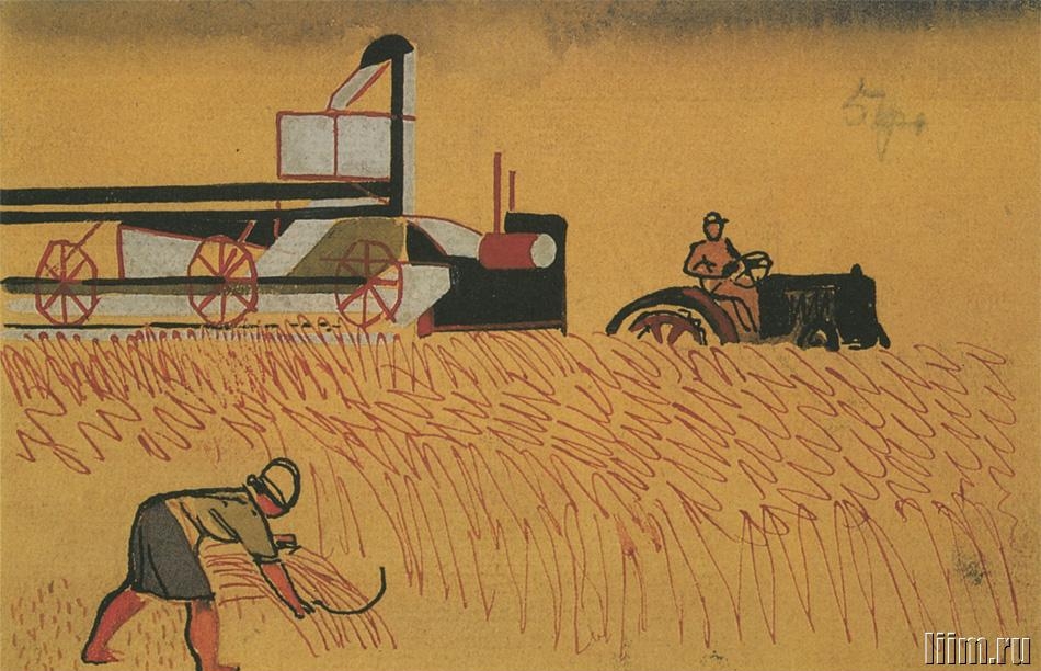 история пшеницы