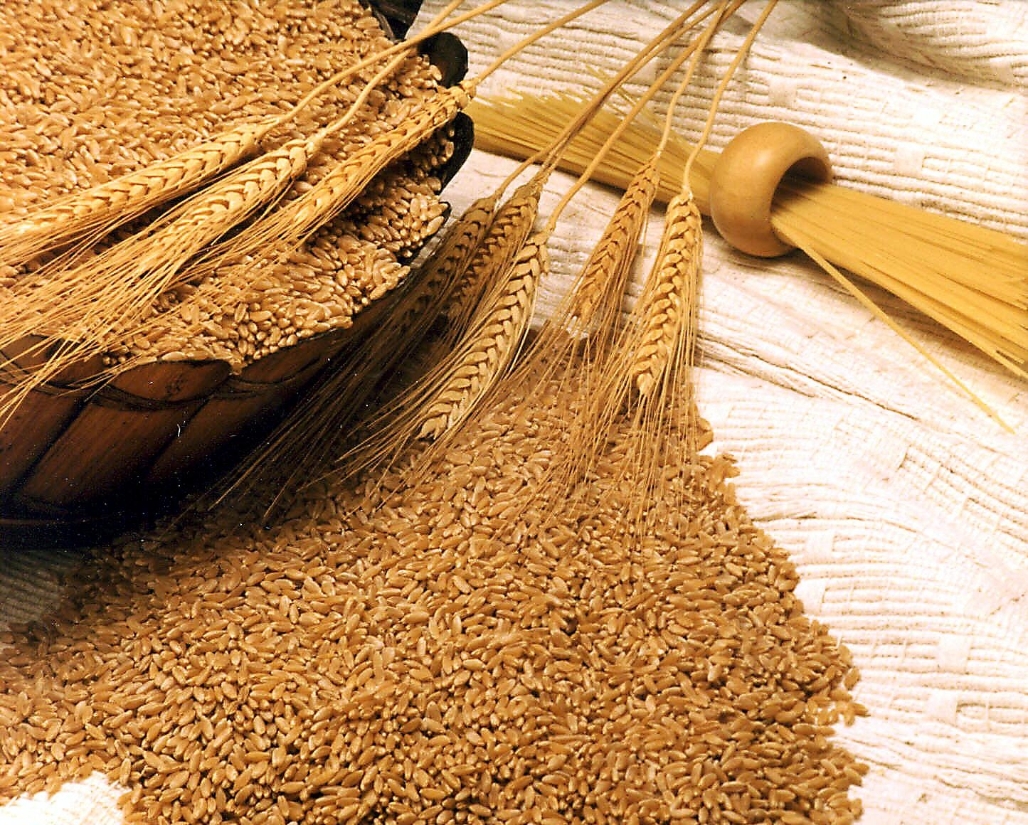 применение пшеницы в медицине
