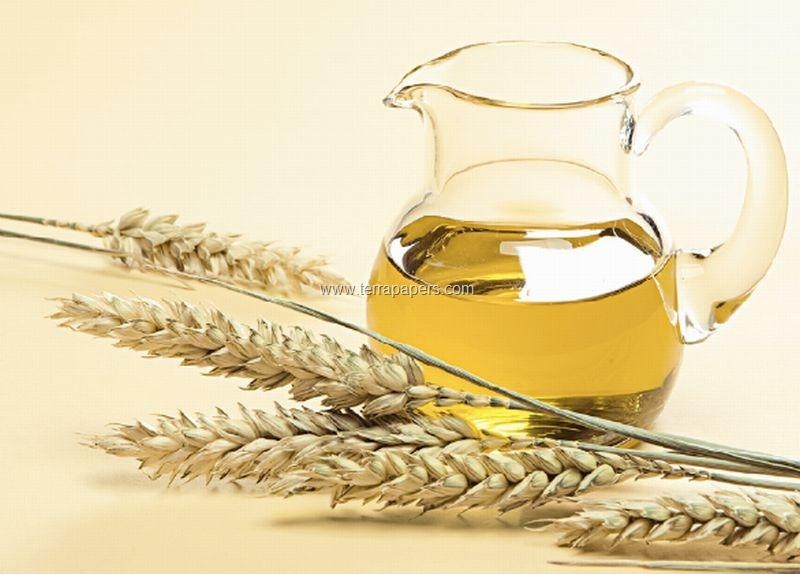 масло пшеницы полезные свойства