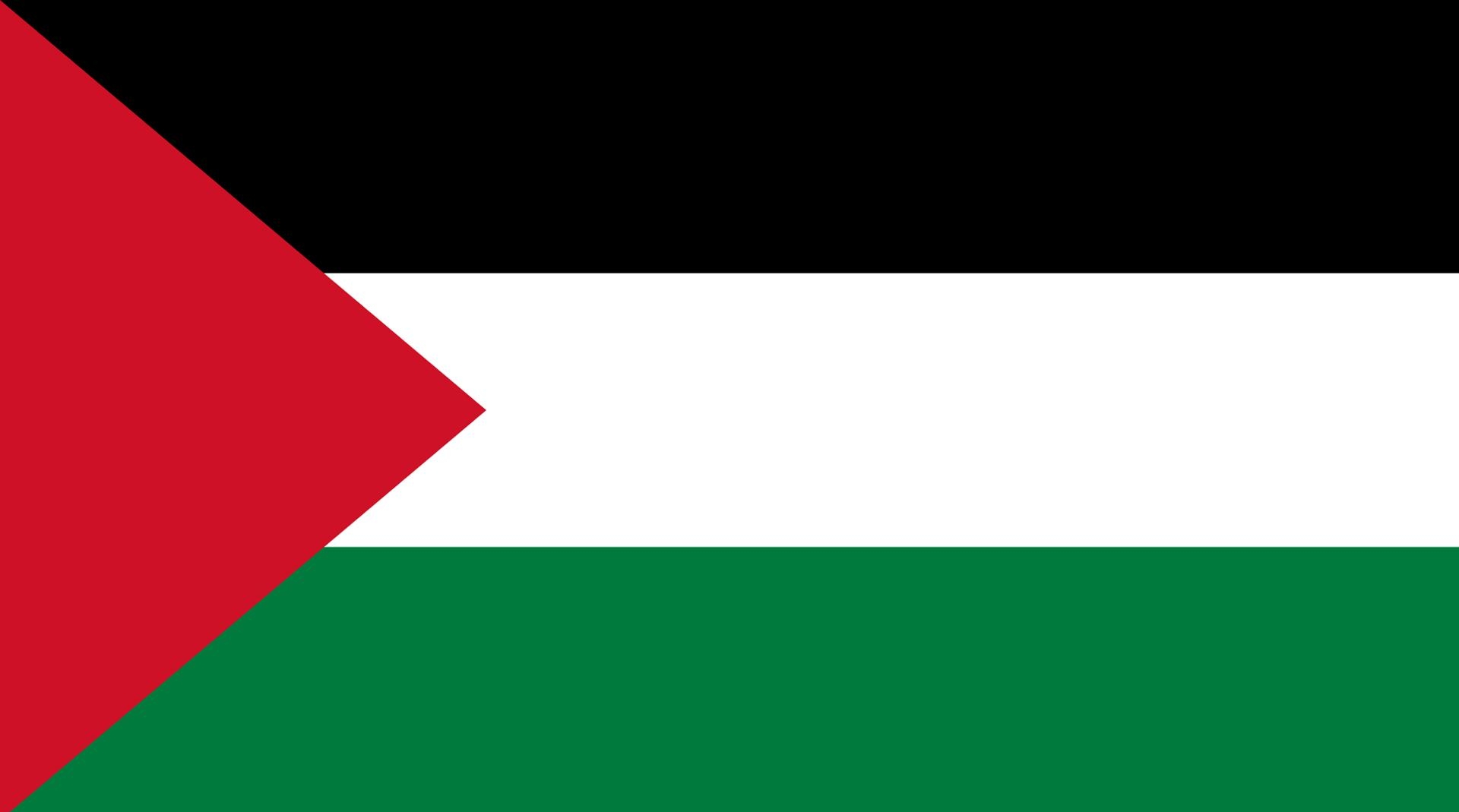 Государство Палестина флаг