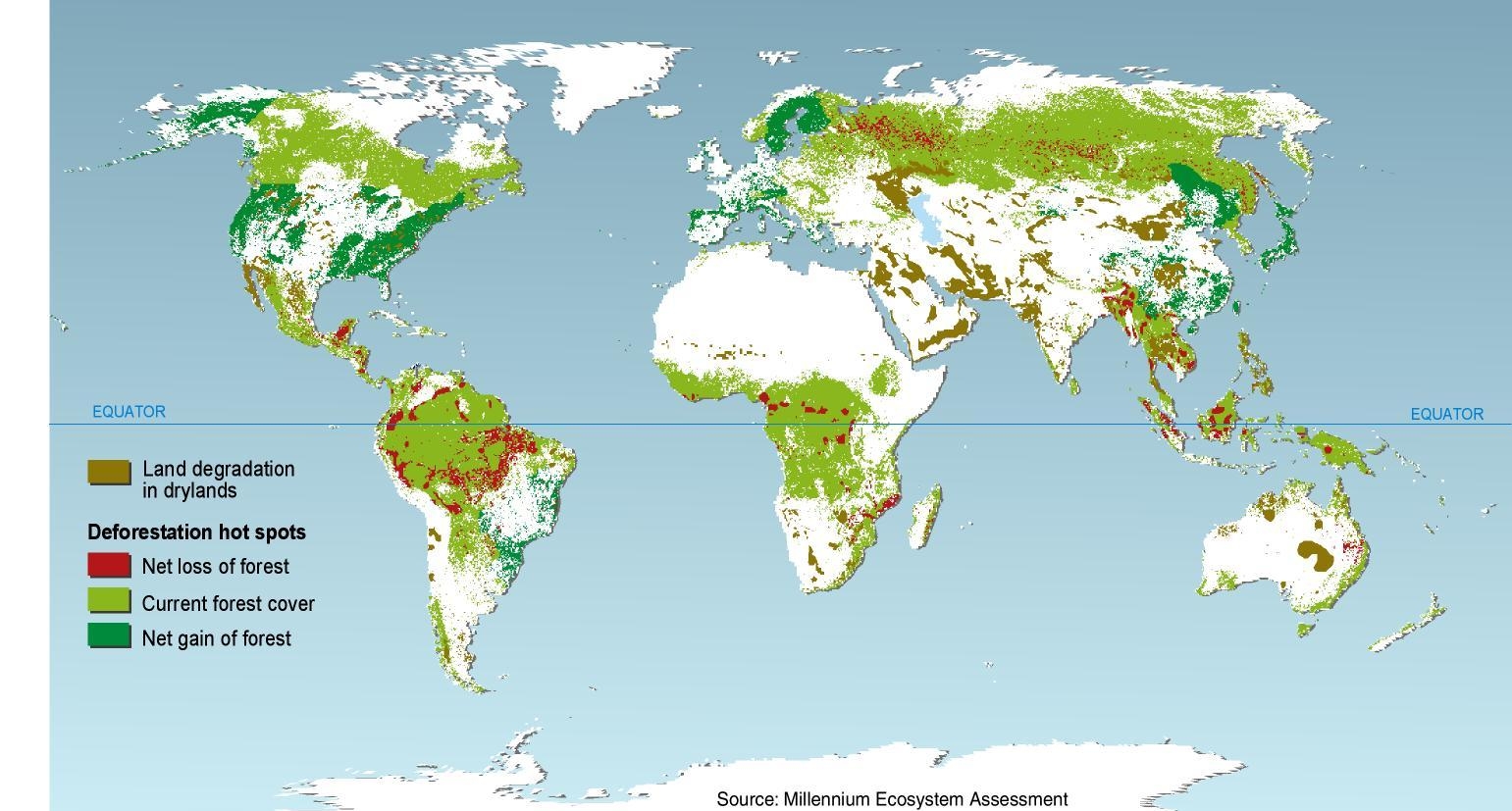 потери тропических лесов под влиянием изменения климата