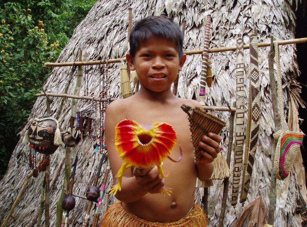 2.5 Бразилия племена Амазонки