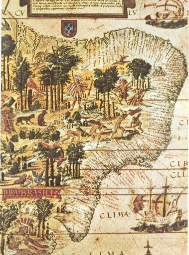 7.2 Деталь карты «Terra Brasilis» 1519.