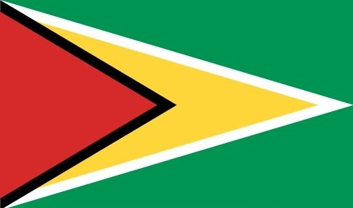 1.1 Флаг Гайаны