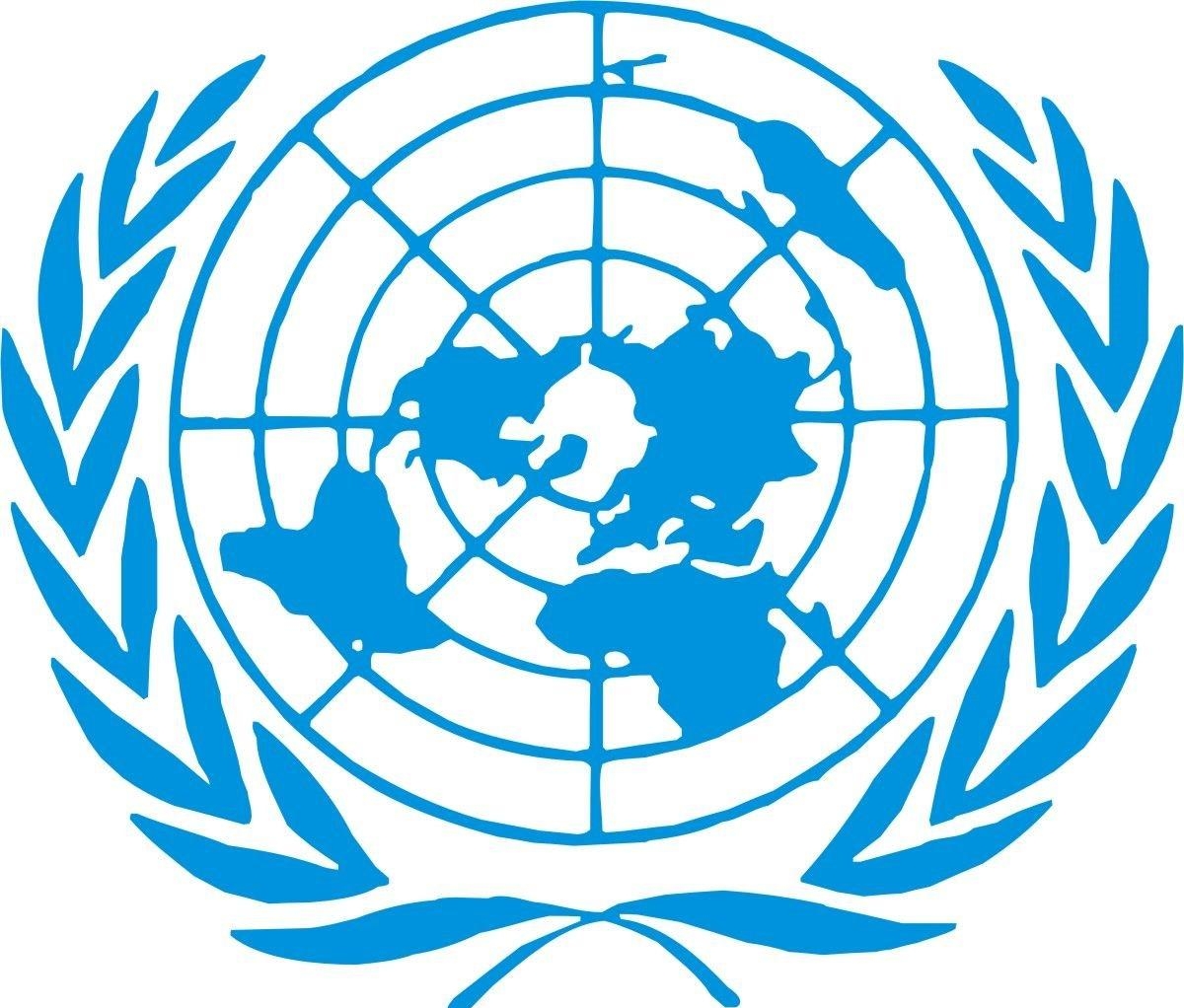 3.3. ООН