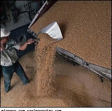 2.32 Спасет рынок зерна от демпинга