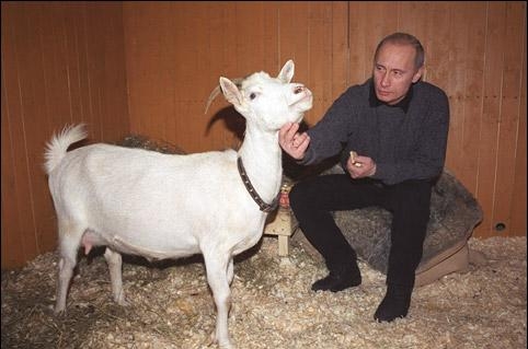 1.42 Путин с козой