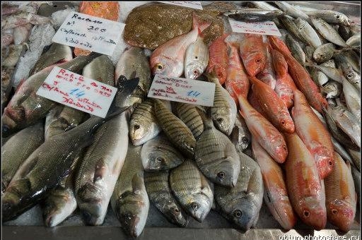 4.11 Торговля рыбой в Португалии
