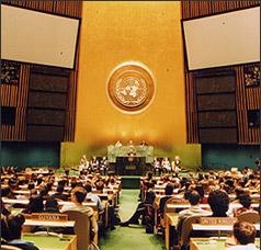 7.3 Генеральная Ассамблея ООН