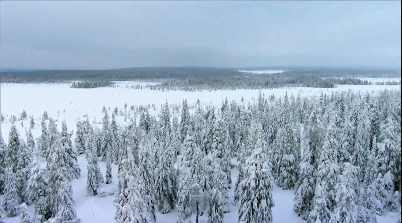 29. Зимние сцены в Финляндии