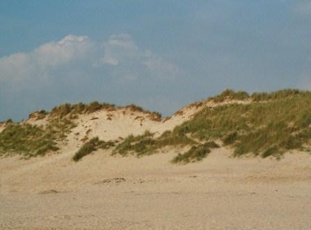 14. Песчаные прибрежные дюны, без которых половина территории Нидерландов оказалась бы под водой