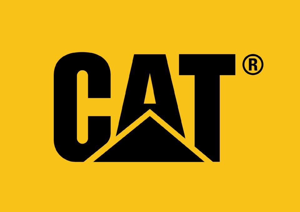 3. Логотип CAT