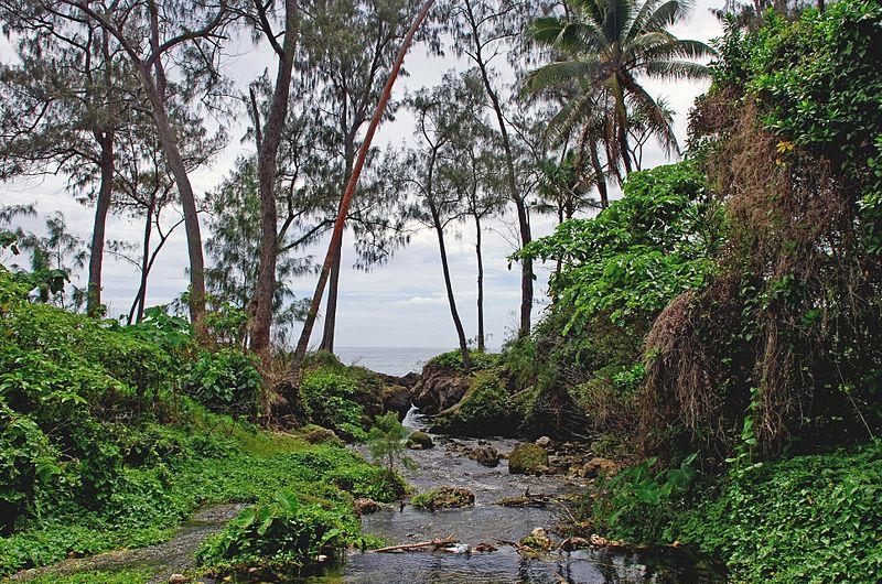 9. Ручей на острове Эфате (Вануату)
