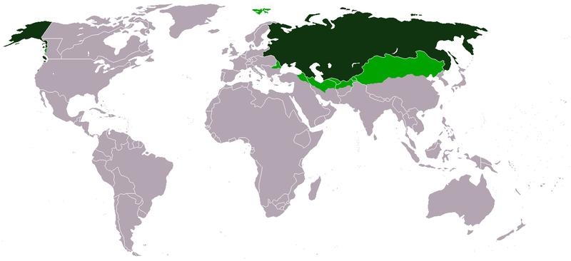 2.6 Российская империя в 1866 г. и её зона влияния