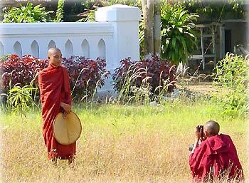 12.15 Монахи Бирмы