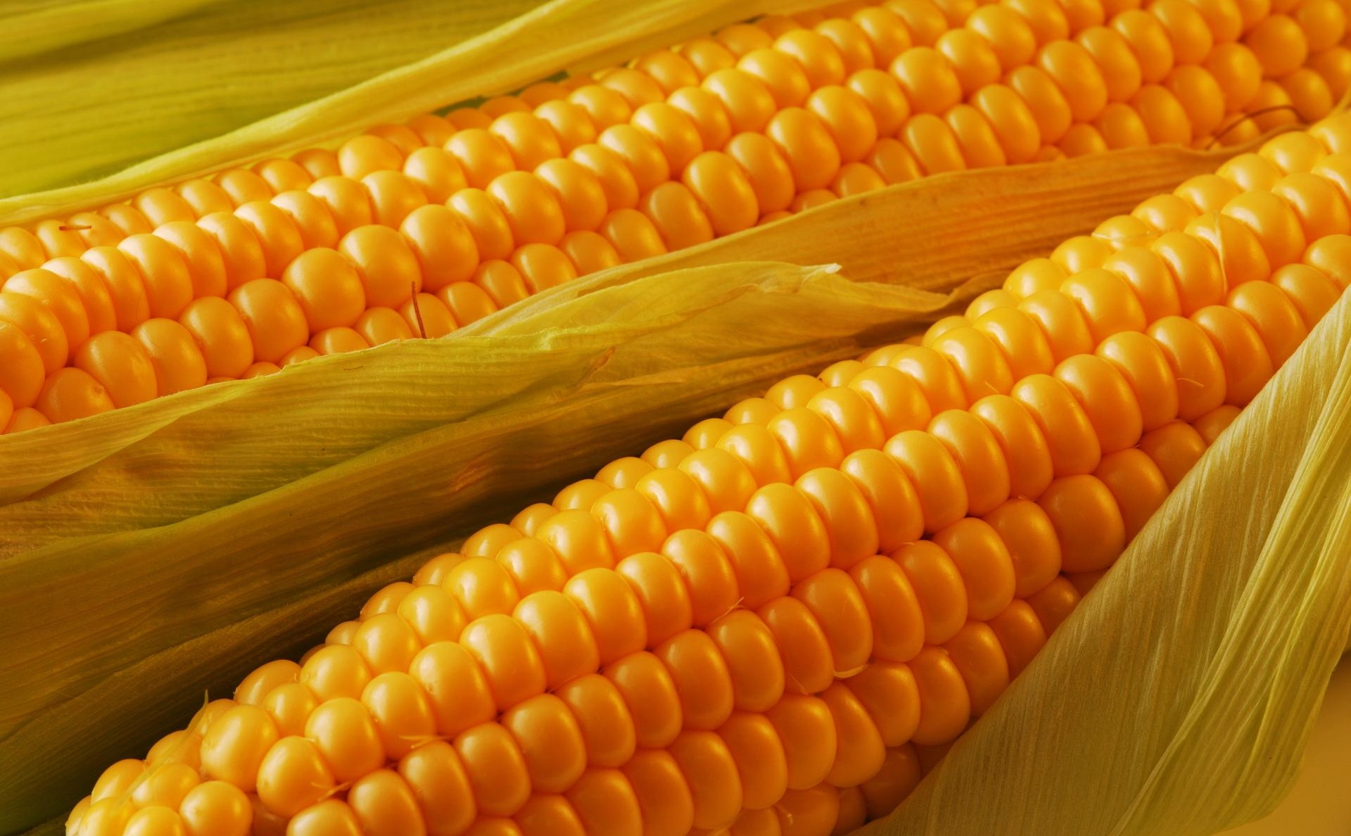 1. Спелая кукуруза