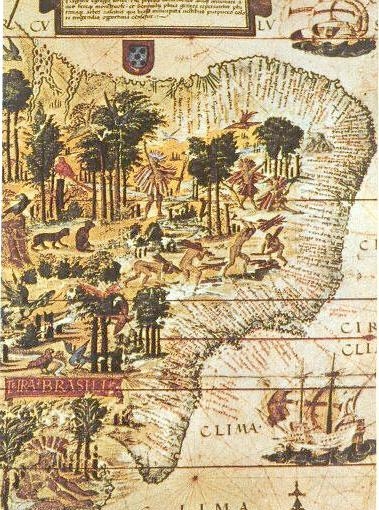 6.4 Деталь карты «Terra Brasilis» 1519.