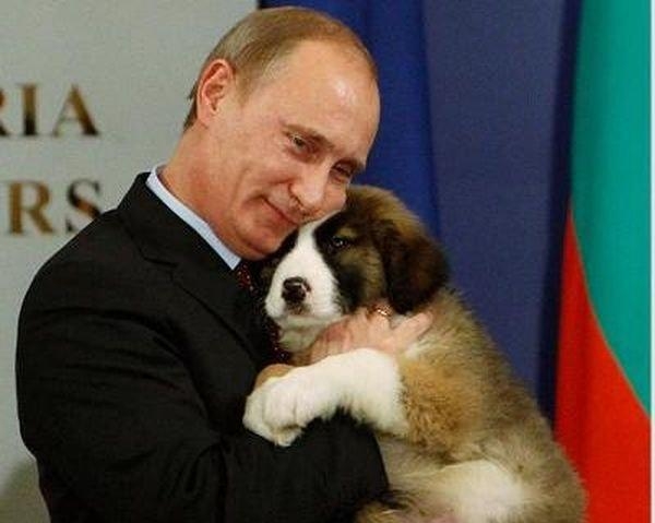 Путин и пес