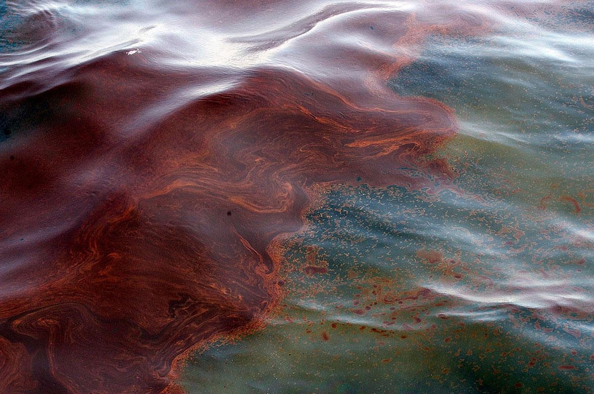 Нефть, дошедшая до Луизианы из Мексиканского залива