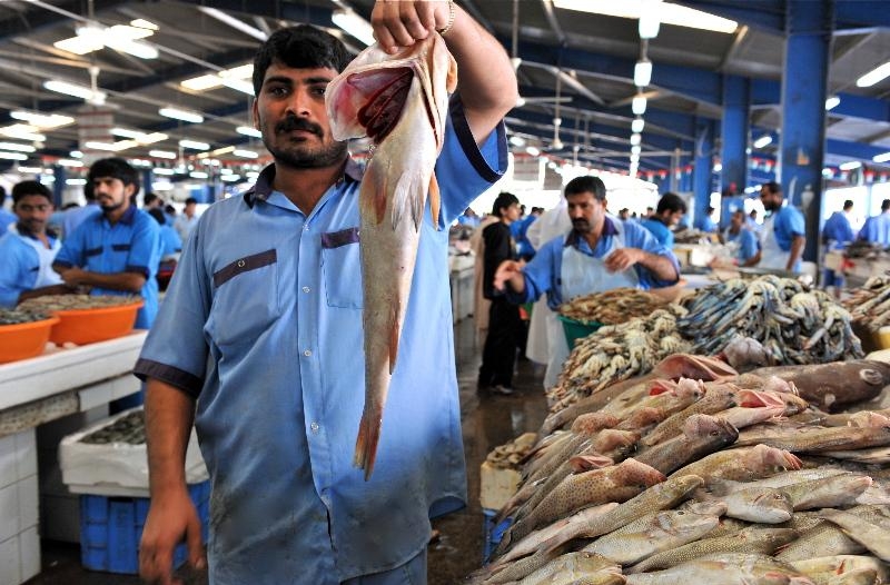Промысел рыбы в Персидском заливе