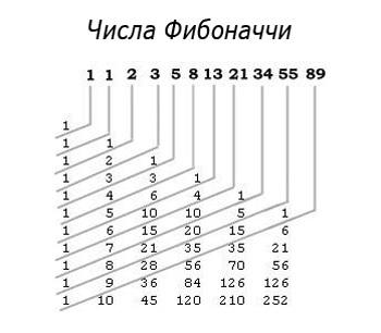 Числа Фибоначчи или последовательность Фибоначчи