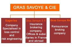 Структура Gras Savoye S_A_