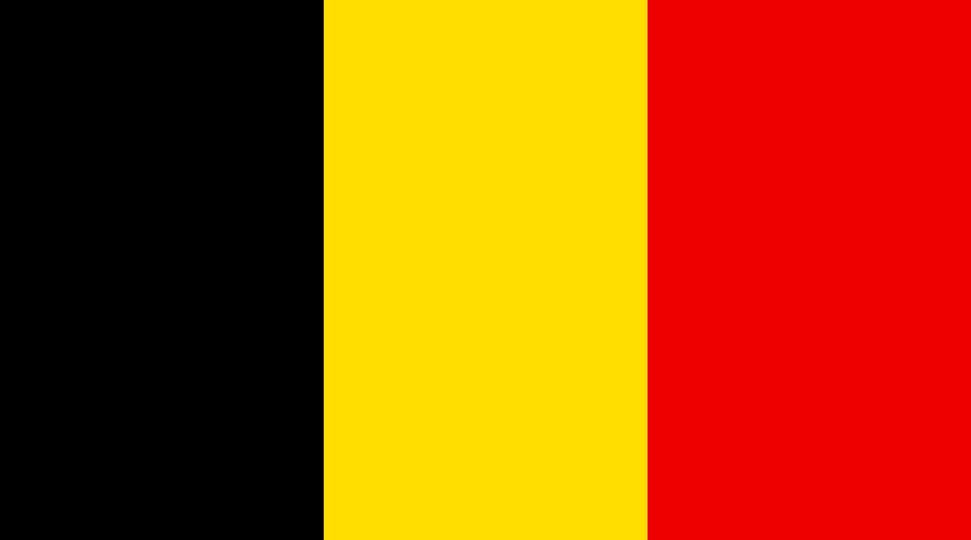 парламентарная монархия бельгия флаг