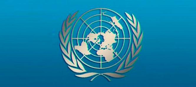 Программа развития Организации Объединенных Наций