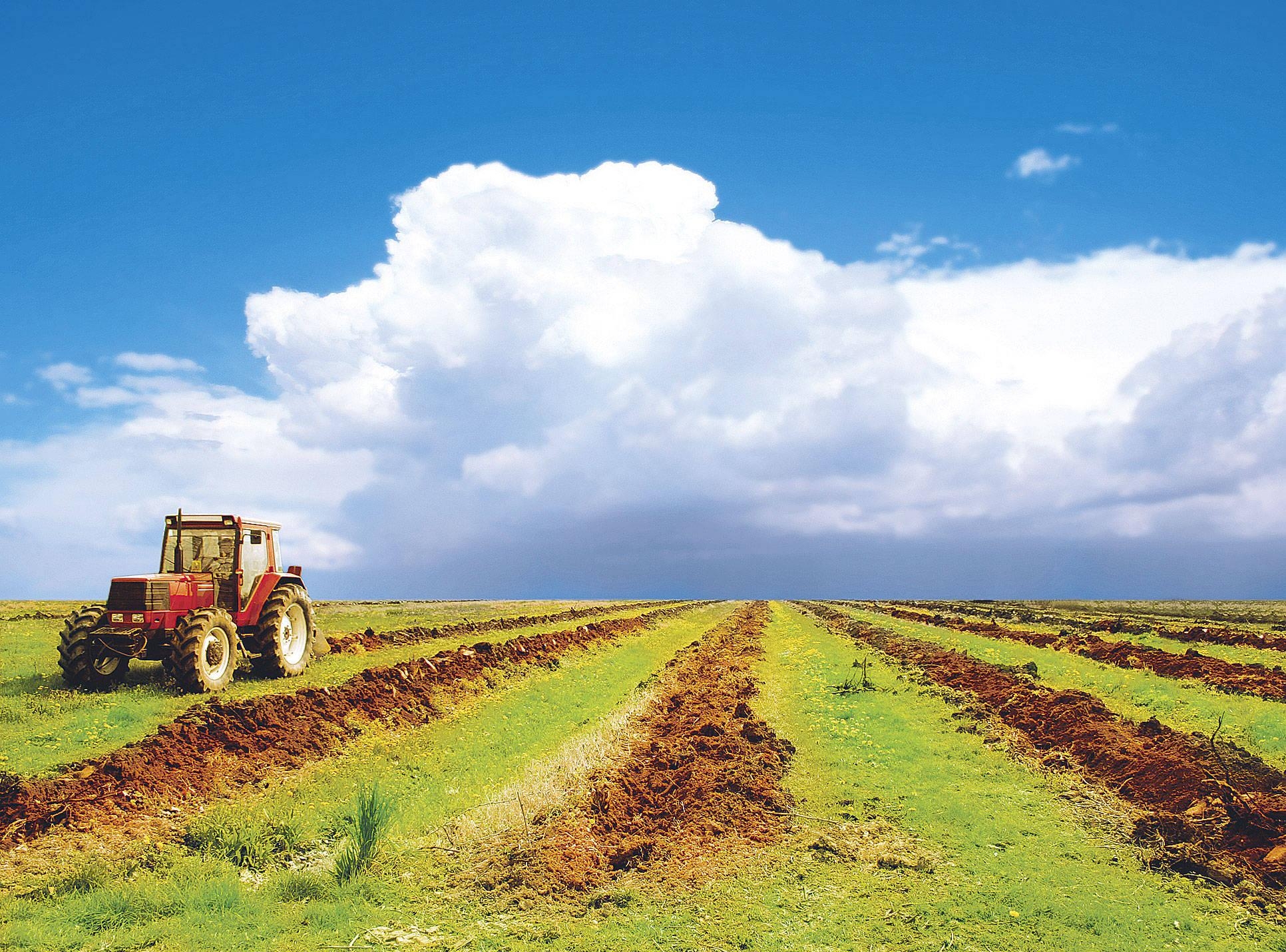 разработка земель для нужд сельского хозяйства в Анталии