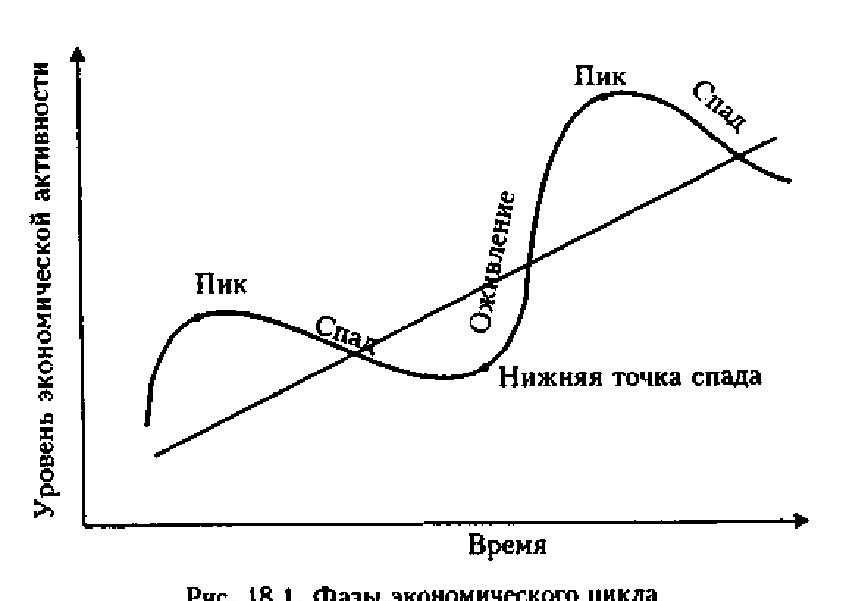 Экономический цикл состоит из нескольких фаз.