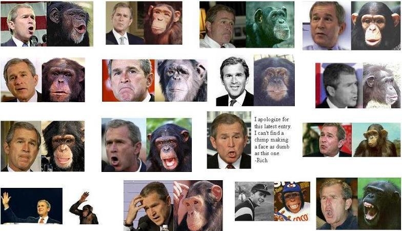 5.7 Сравнение Буша с обезьяной