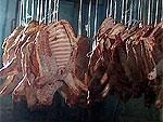 Что понимается под термином мясо. Смотреть фото Что понимается под термином мясо. Смотреть картинку Что понимается под термином мясо. Картинка про Что понимается под термином мясо. Фото Что понимается под термином мясо