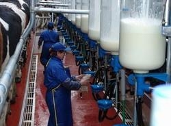 2.18 Государственное регулирование молочной отрасли экономики