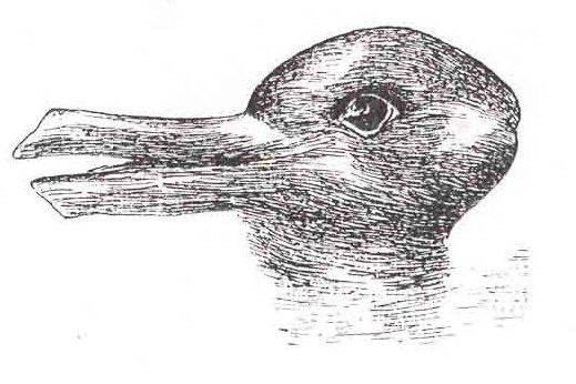 8.1. Кун предлагал оптическую иллюзию заяц—утка в качестве примера того, как смена парадигмы может вынудить рассматривать одну и ту же информацию совершенно иным образом