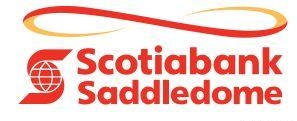 10. Логотип Scotiabank Saddledome