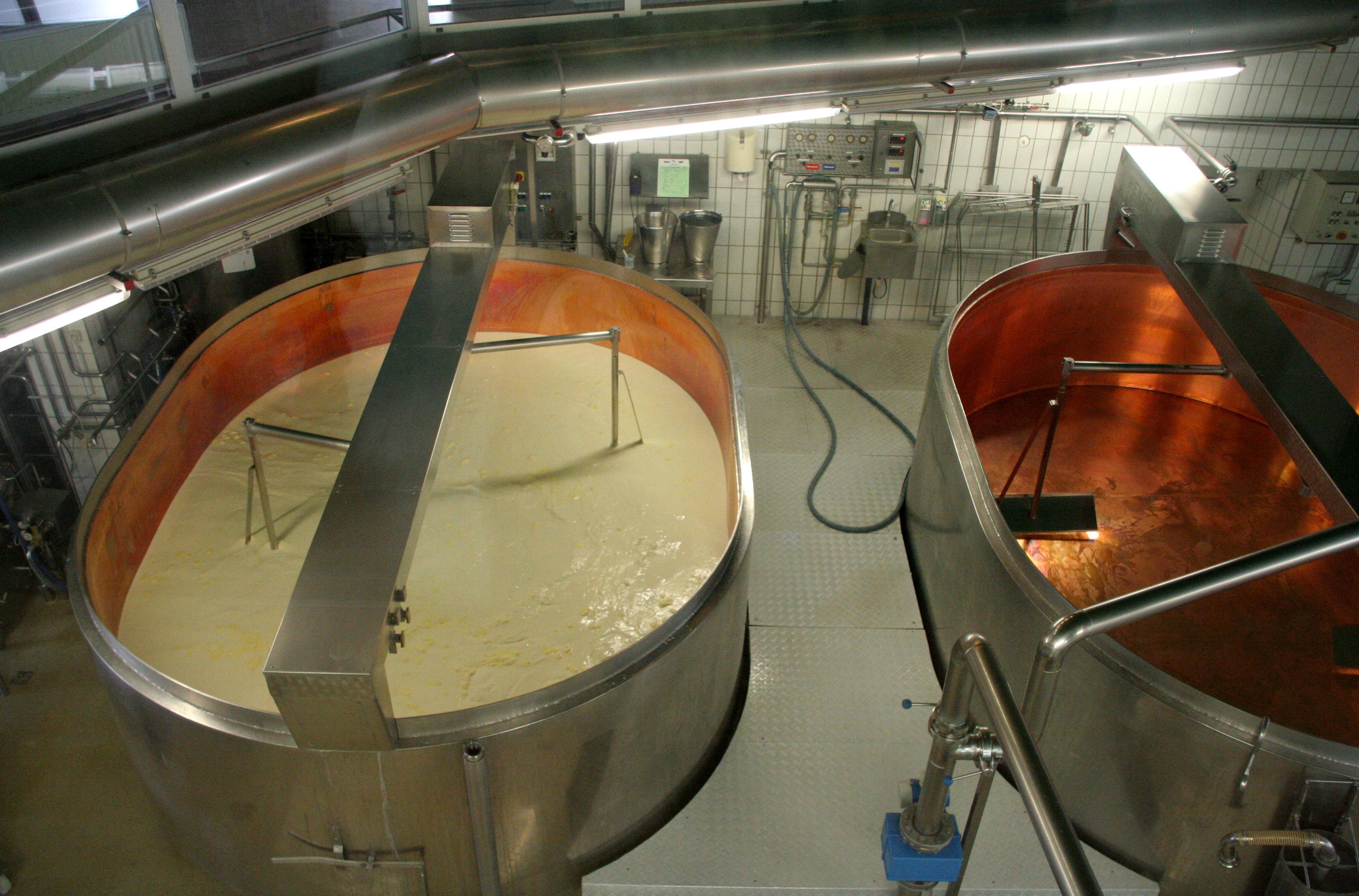 64. Промышленное производство сыра