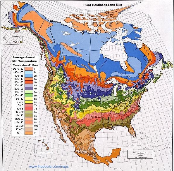 6. Климат США карта