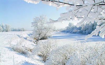 7. Природа зимой