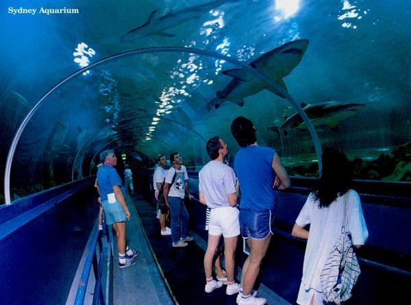 94. Сиднейский аквариум